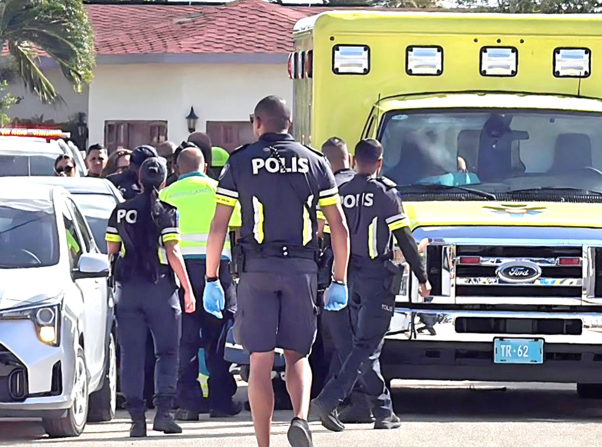 Polis a defende su mes y a tira riba homber agresivo